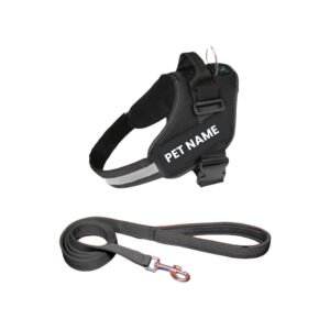 Payton Perry Customized Dog Vest Harness